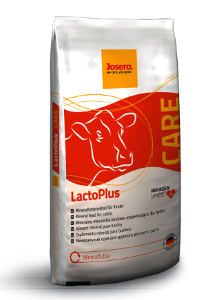 LactoPlus